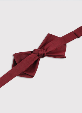 Asymetryczna bordowa mucha męska