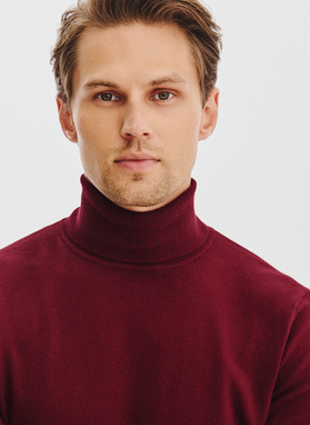 Bordowy gładki golf męski